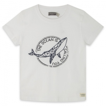 camiseta whale